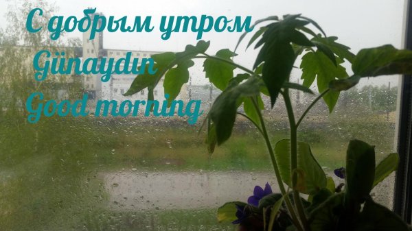 с добрейшим утром