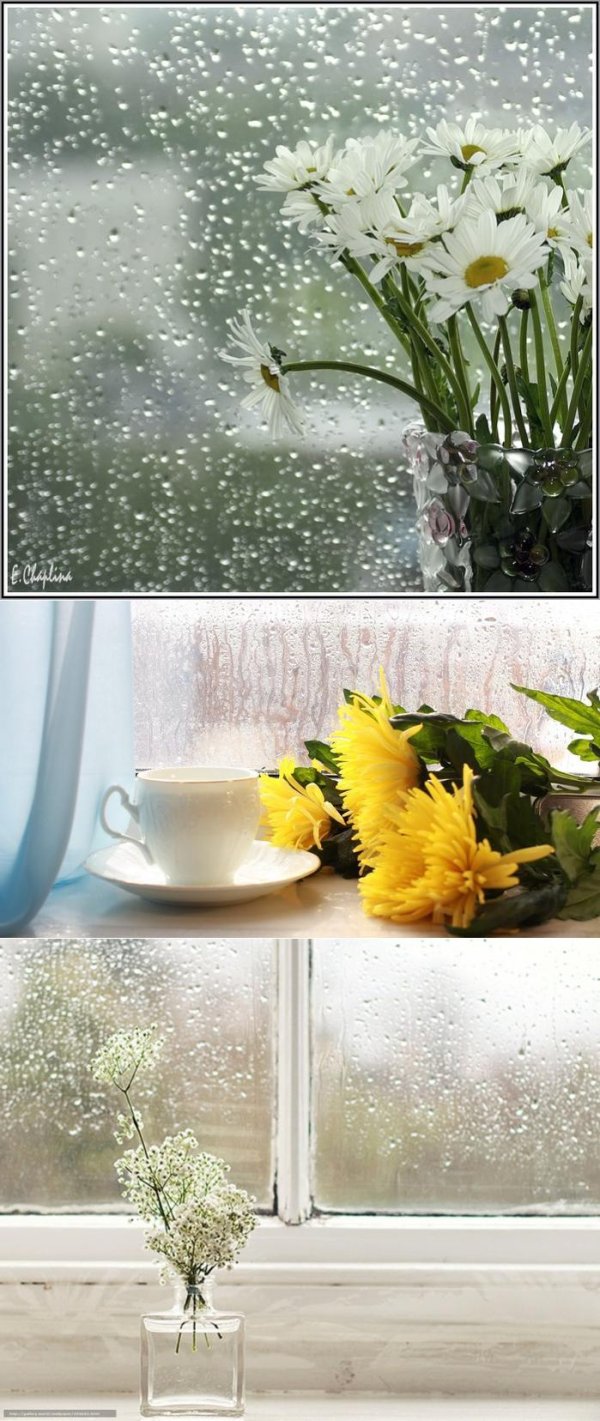 открытки с добрым утром дождливым летним