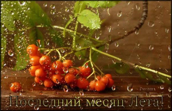 скоро осень за окнами август