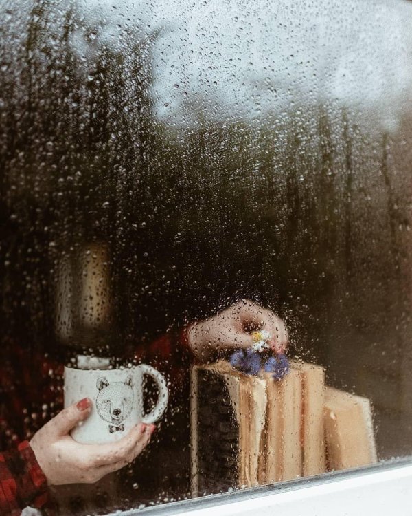 доброго дождливого утра