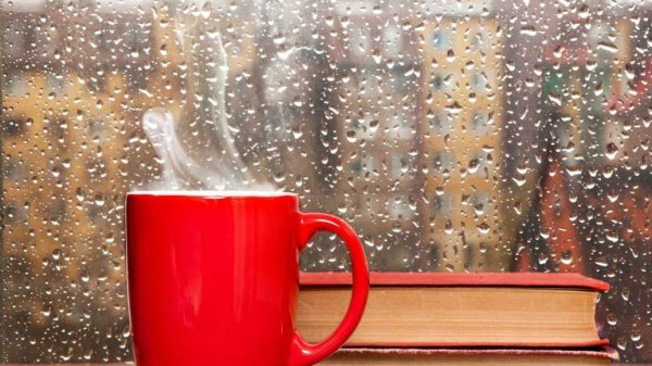 доброго дождливого утра