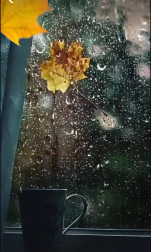 дождь за окном