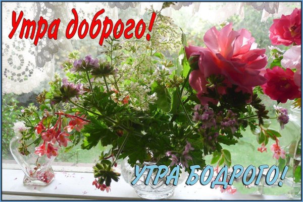 добрейшего летнего утра