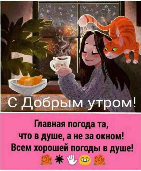 доброутро не смотря на прголу