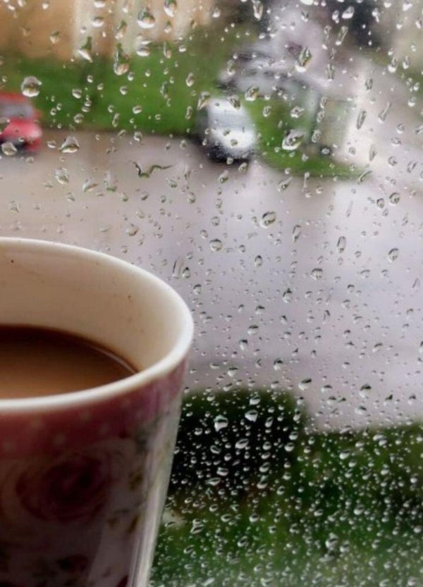 дождливого утра