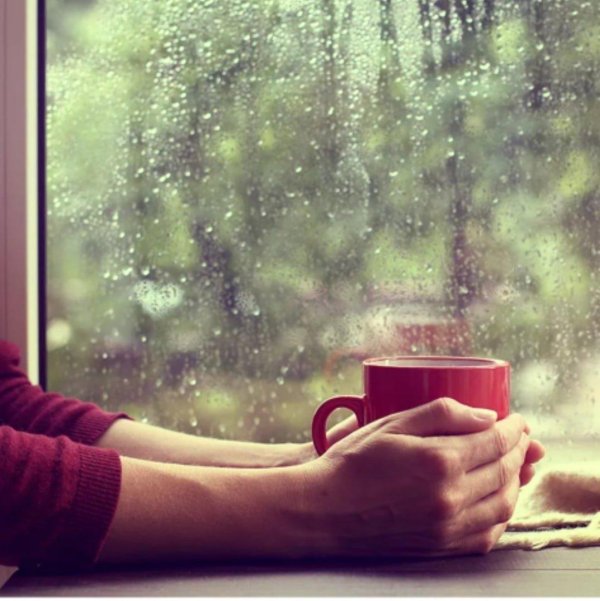 дождливого утра