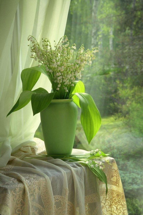 весеннего утра