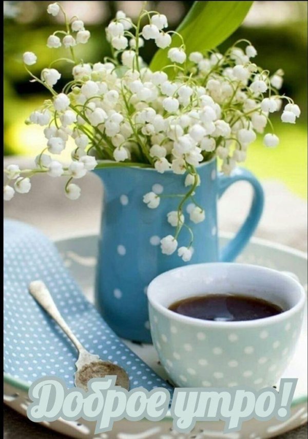 добрейшего весеннего утра