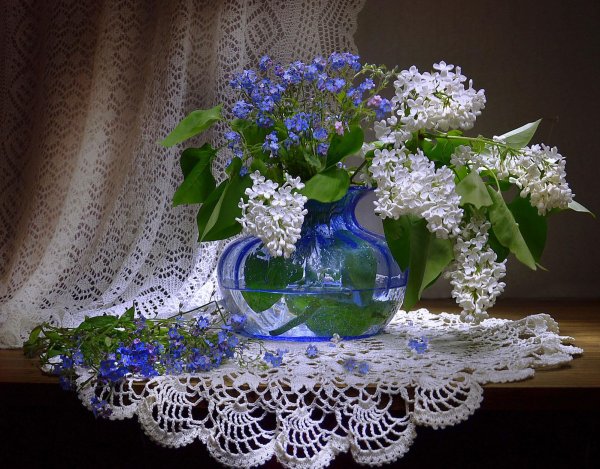 доброго весеннего вечера