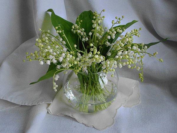 цветок ландыш