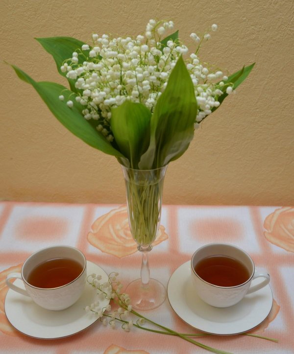 ландыши и чай