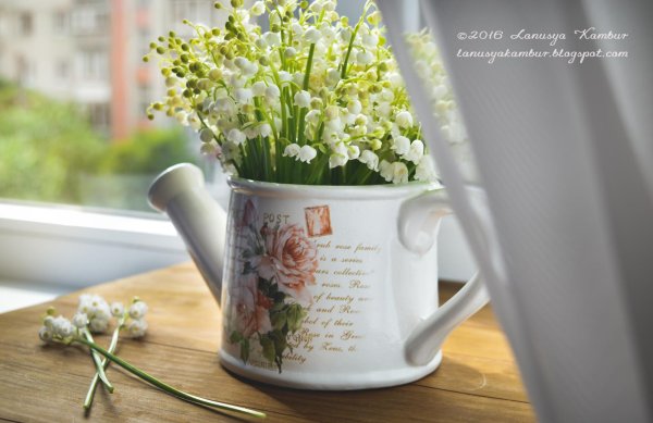 добрейшего весеннего утра