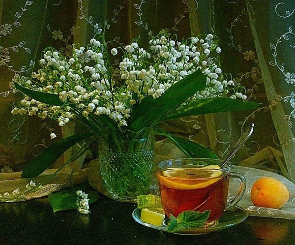 добрыйвксенний вечер