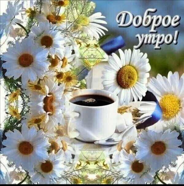 доброе утро ромашка