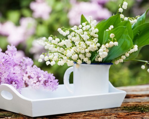 цветок ландыш