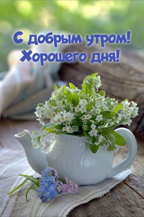 доброе утро белые цветы