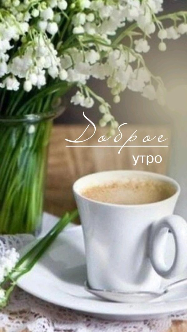 доброго утра весна