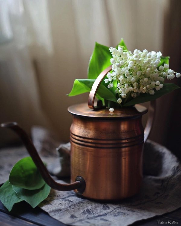 фомкин ландыши