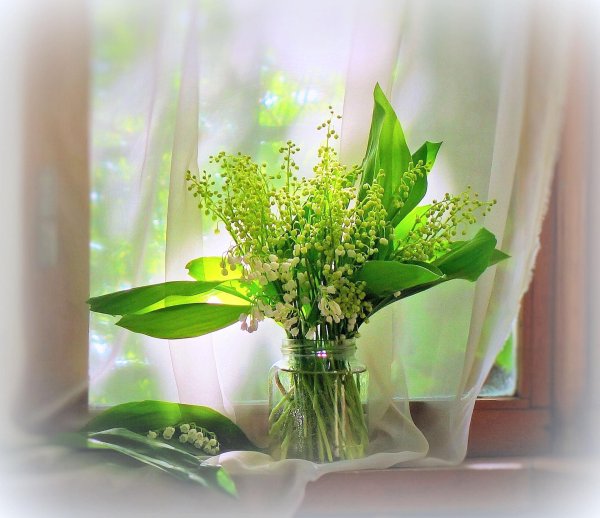 весенний букет на окне