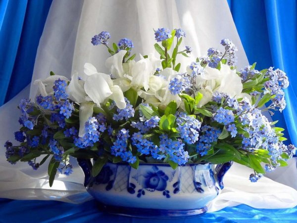 открытки приятного пробуждения