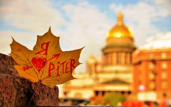 я люблю питер