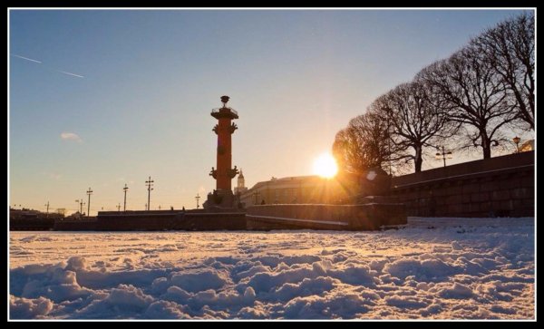 ростральные колонны васильевский остров