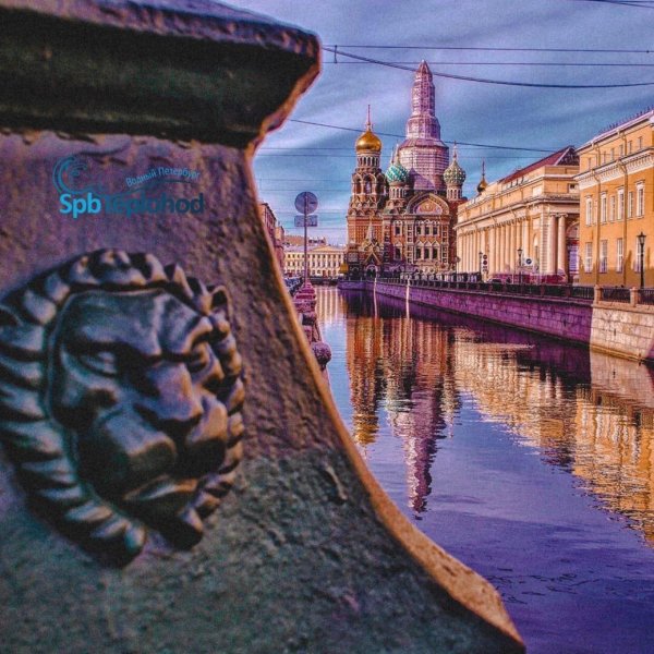 утро в питере