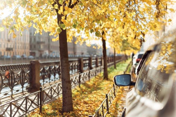 питер осень