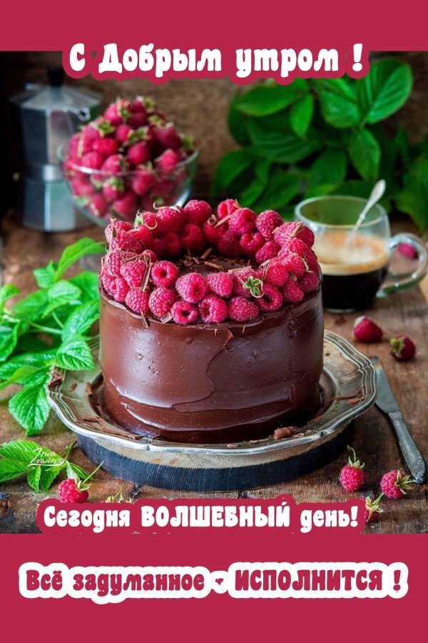 шоколадно малиновый торт