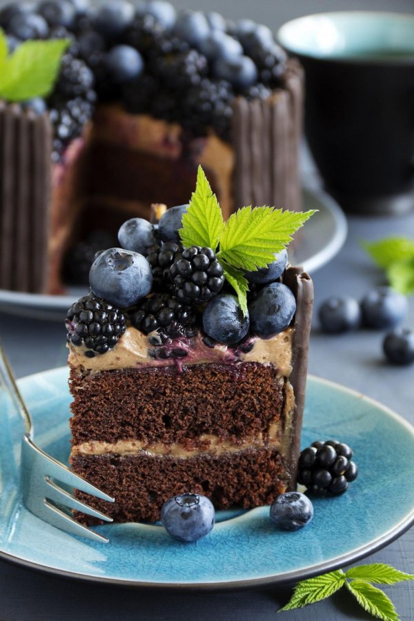 шоколадные торты