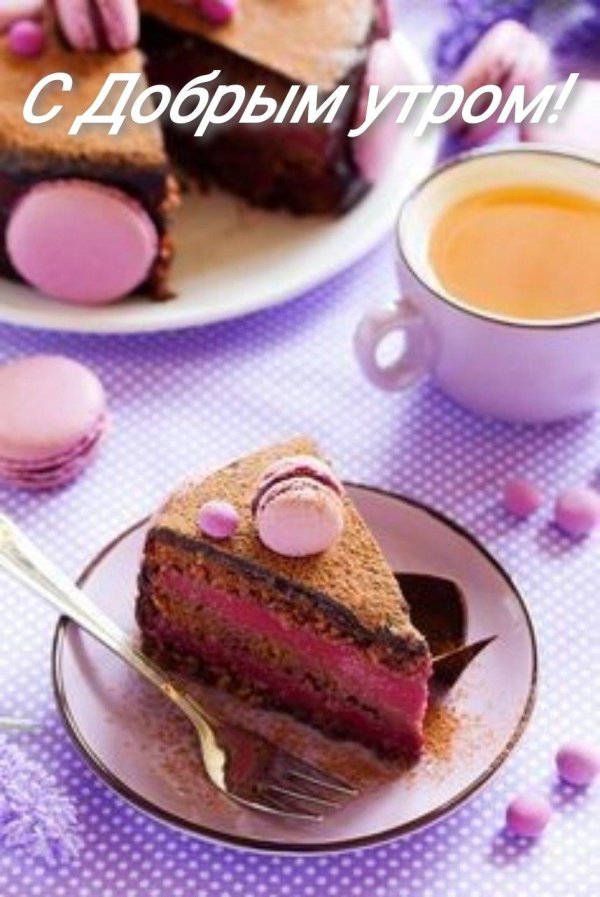 красивые пирожные