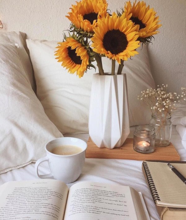 с добрым утром подсолнухи