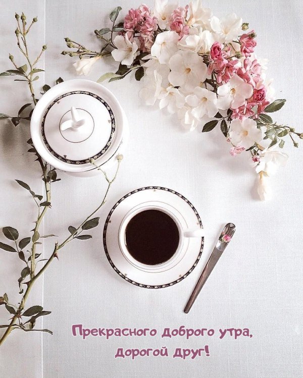 доброго утра стильные