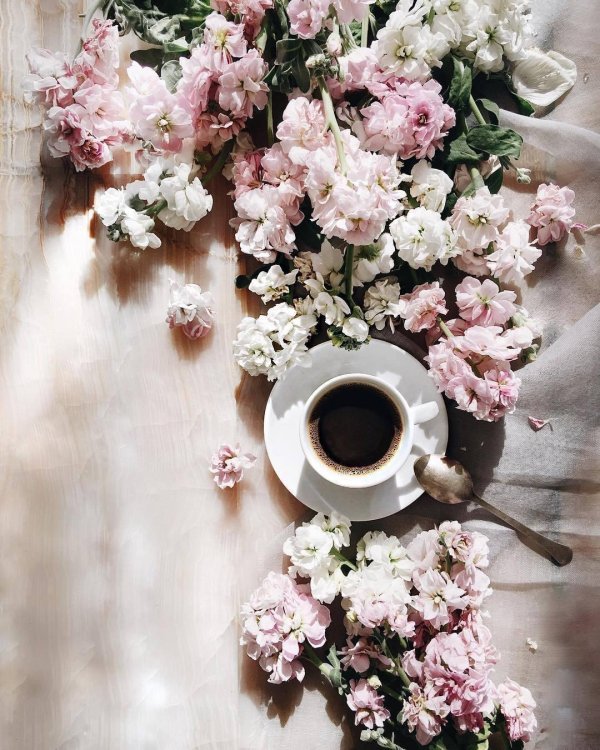 фон для инстаграмма