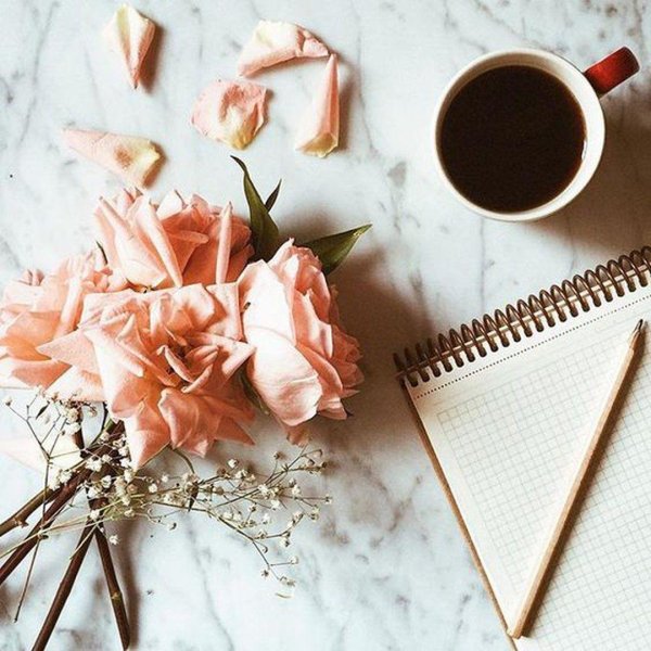 цветок на столе