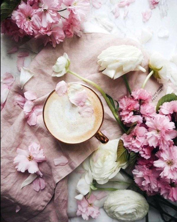 нежность утра