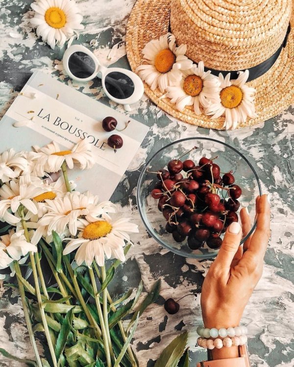 летний пикник