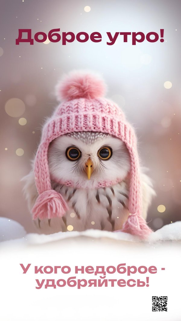 доброе утро сова
