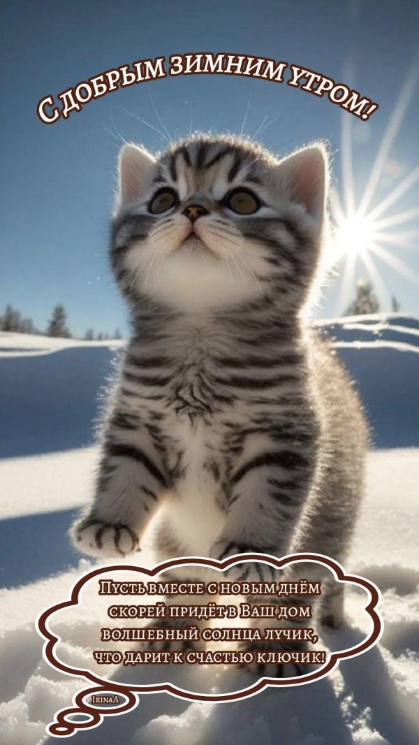 с добрым зимнем утром