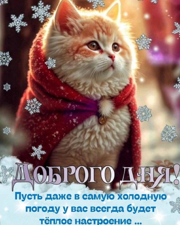 доброго утра зимнего