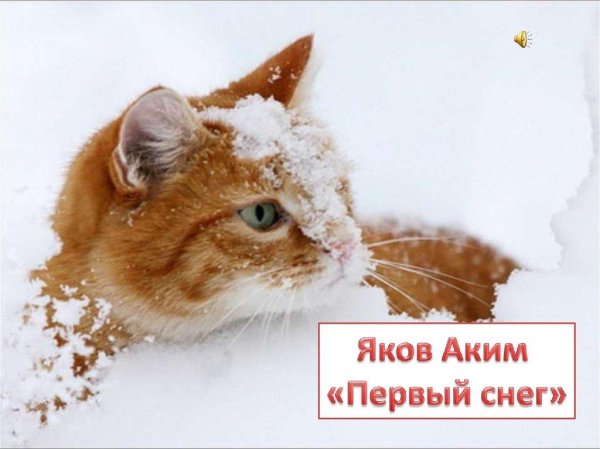 аким первый снег