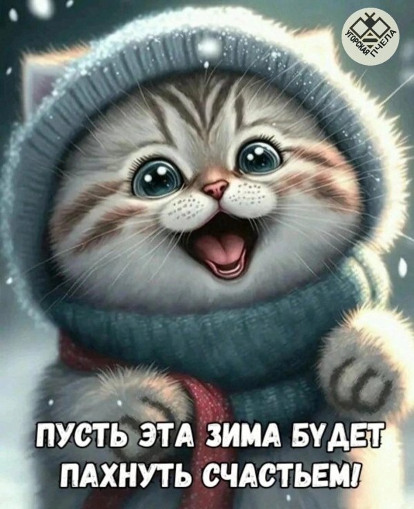 милая котик