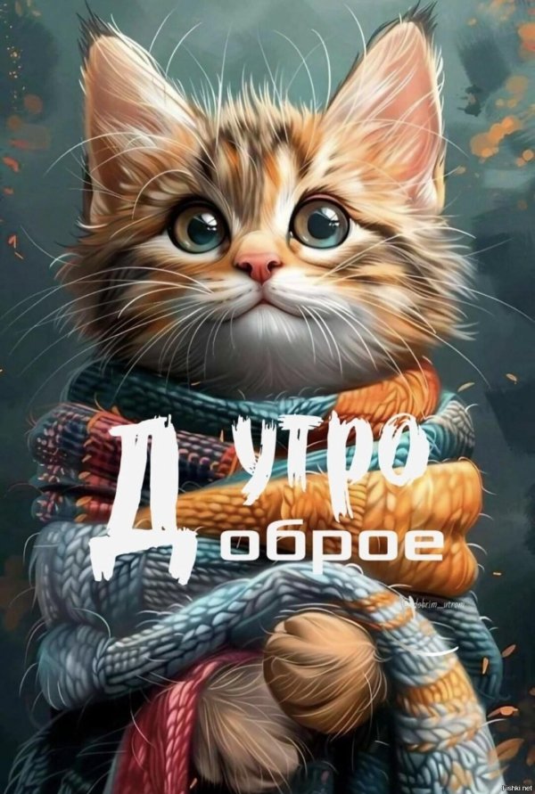 рисованные коты