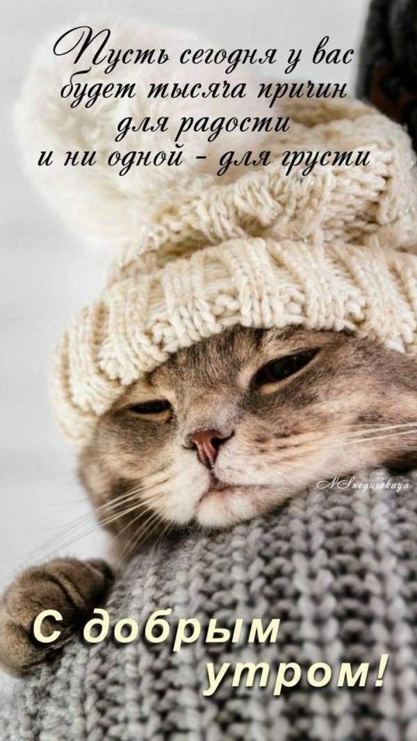 добра утра