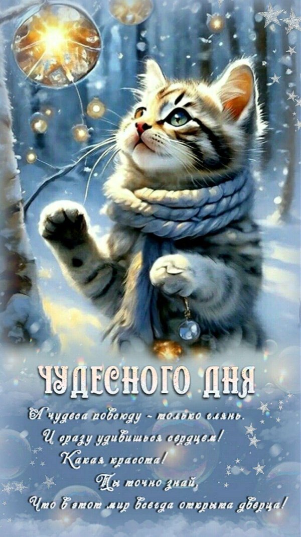 котики новогодние