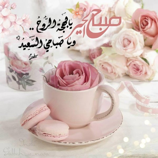 марианна локшина цветы