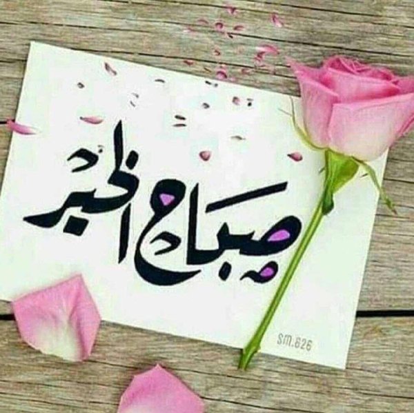 я тебя люблю на арабском языке