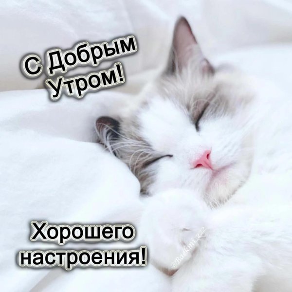 доброе утро волгоград