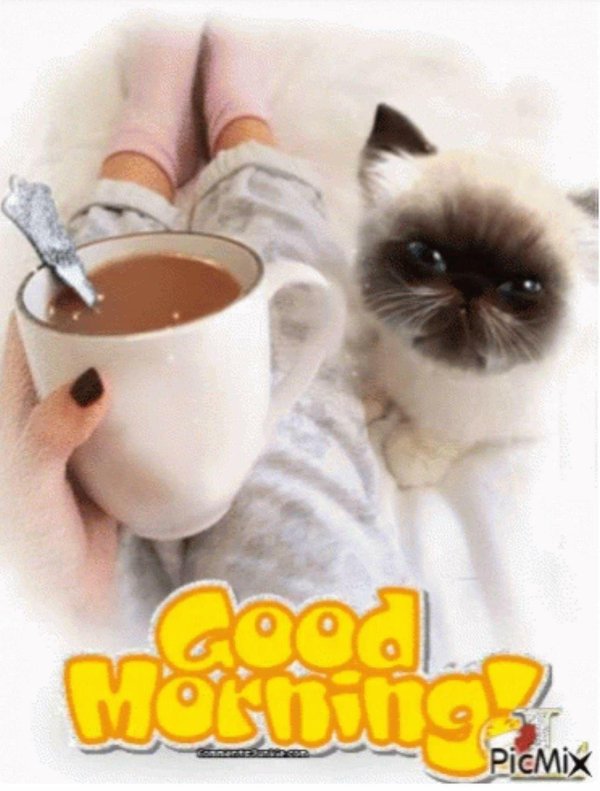 доброго теплого утра