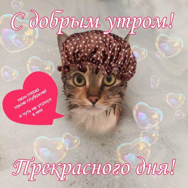 доброе утро недовольный